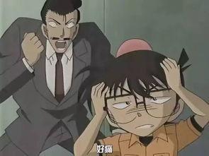 娱乐爆料小五郎视频完整版,小五郎视频完整版揭秘，精彩瞬间不容错过